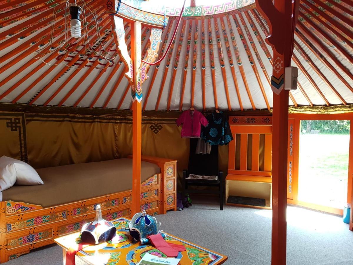Pension New Nomads Zesch 외부 사진